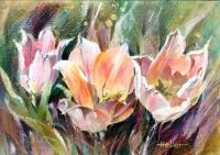 Tulips 2 